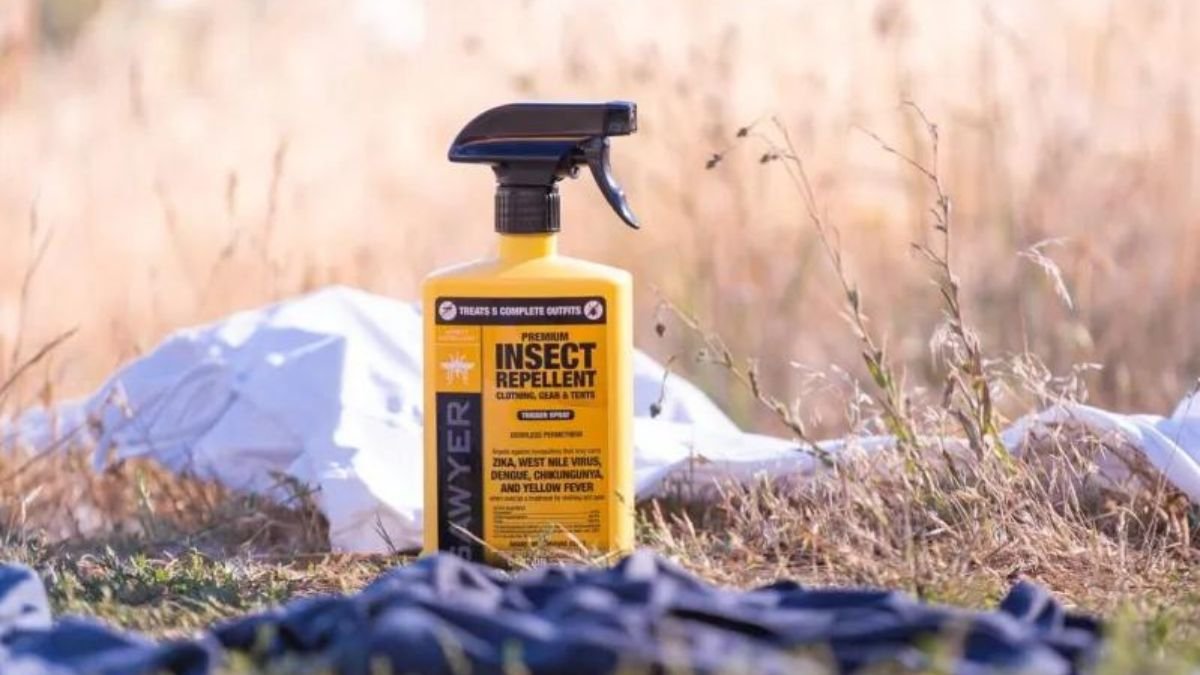 Debunking Common Myths About Insect Repellents Insect Repellents