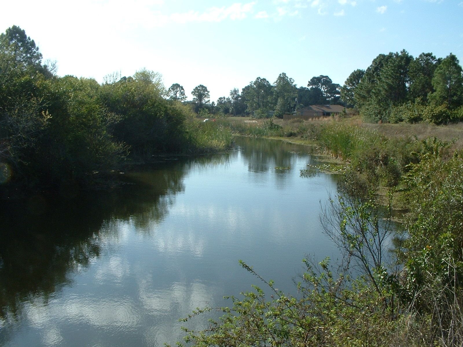 The History and Wildlife of Creighton Waters A Closer Look